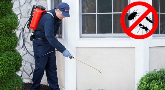 Özalp Böcek İlaçlama böcek ilaçlama ve haşere kontrolü — ilaclama-tr.com